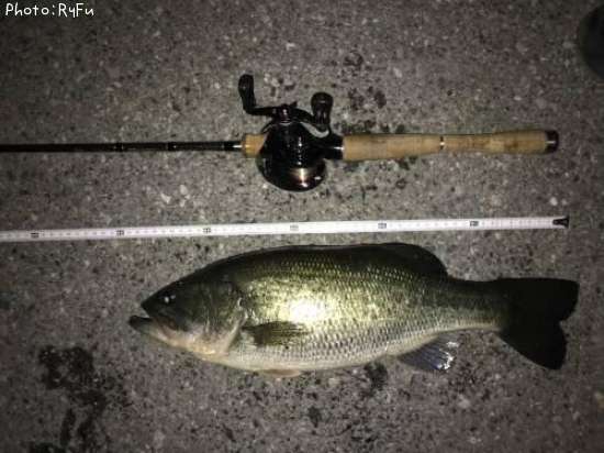 �֥�å��Х�