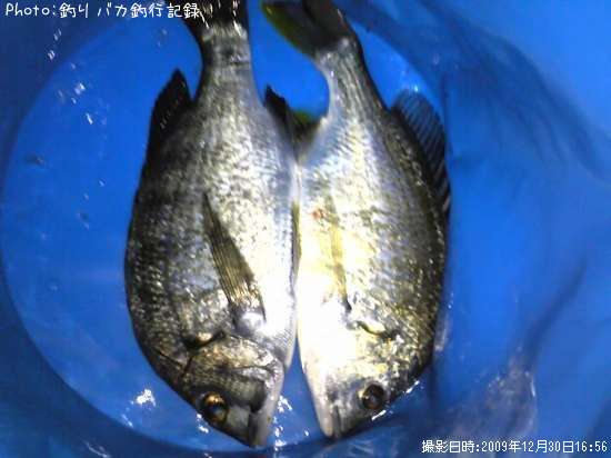 ���󥿡����ӥ�