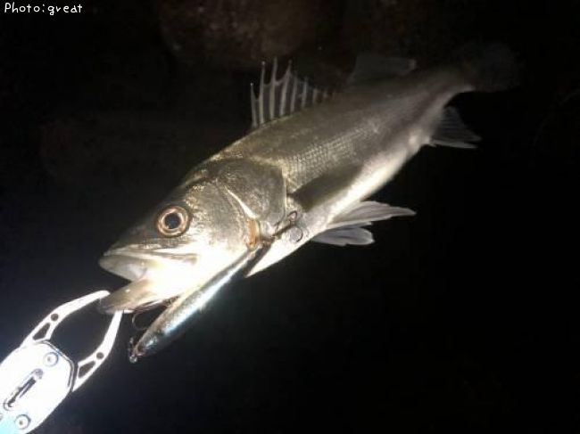 �����Х�