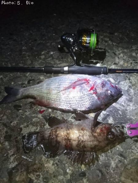 ����������Х�