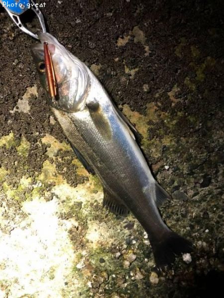 �����Х�