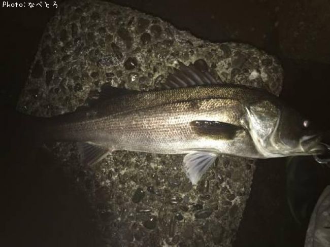 �����Х�