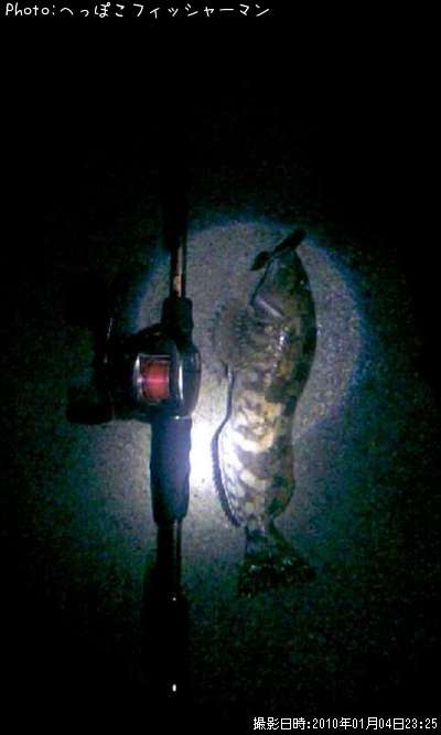 �����ʥ�