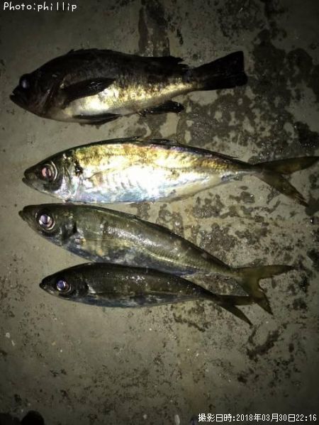 ��Х롢����