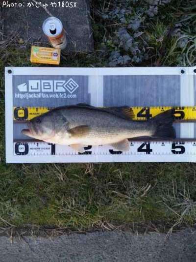 �֥�å��Х�