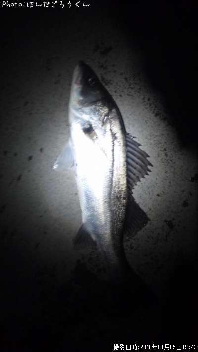 �����Х�