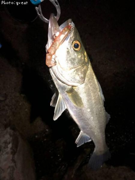 �����Х�