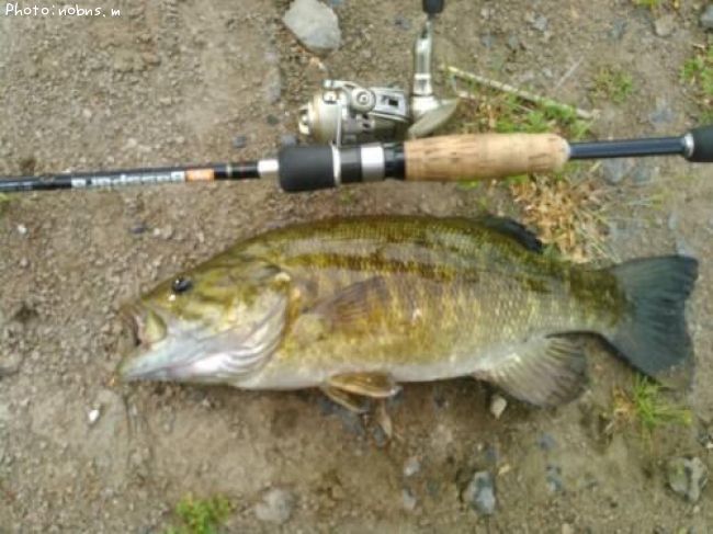 �֥�å��Х�