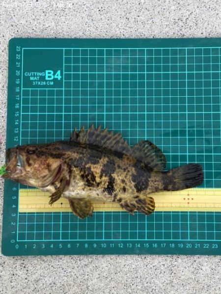 �����Υ���Х�