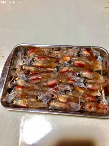 �ۥ��륤��