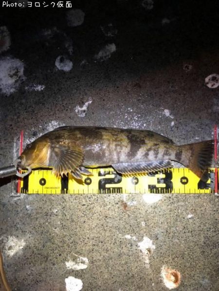 �����ʥ�