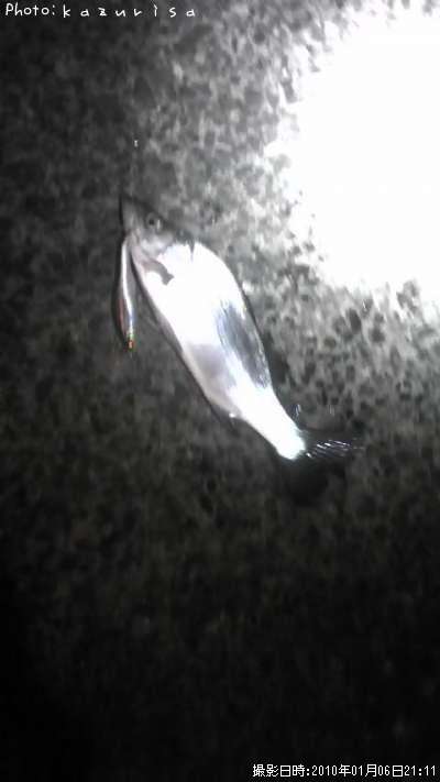 �����Х�