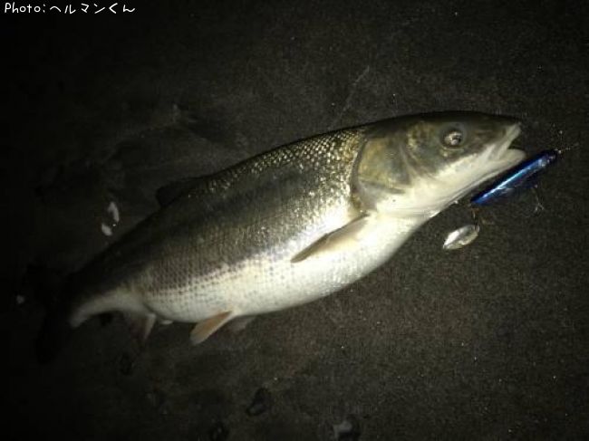 �ޥ륿������