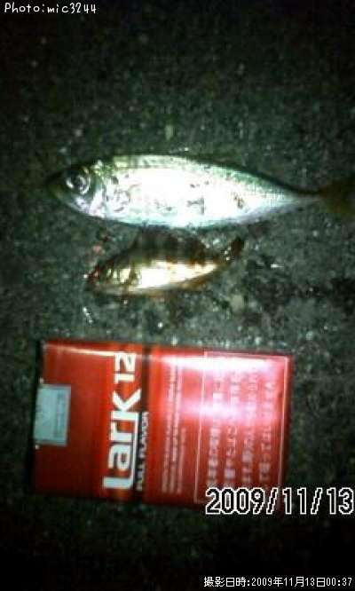 ��������Х�