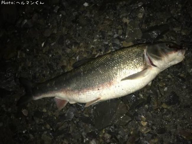 �ޥ륿������