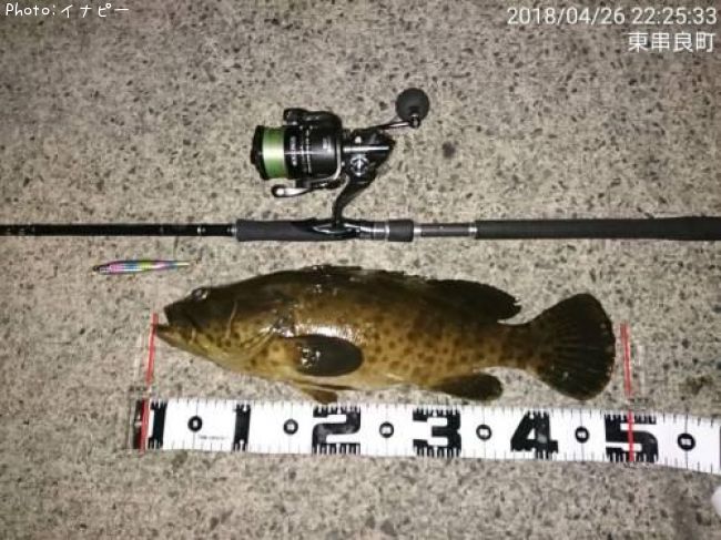 ���㥤���ޥ�ϥ�