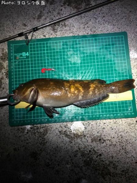 �����ʥ�