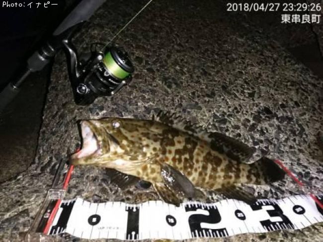 ���㥤���ޥ�ϥ�