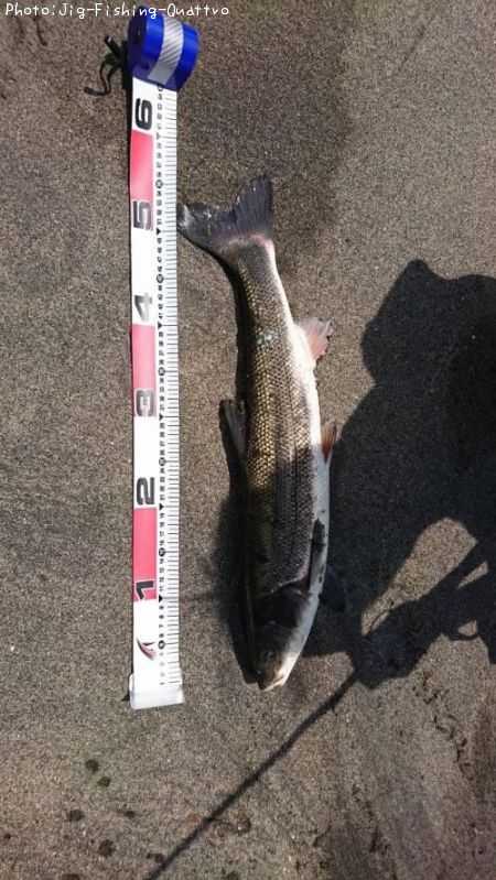 �ޥ륿������