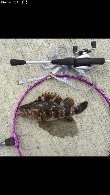 �٥å�������