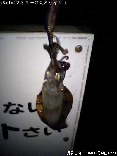 �����ꥤ��