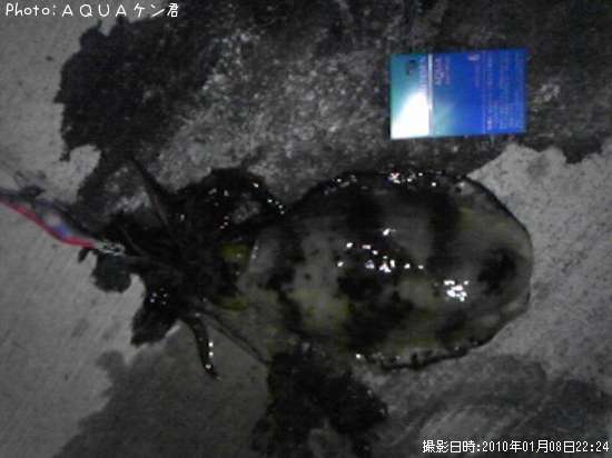 �����ꥤ��