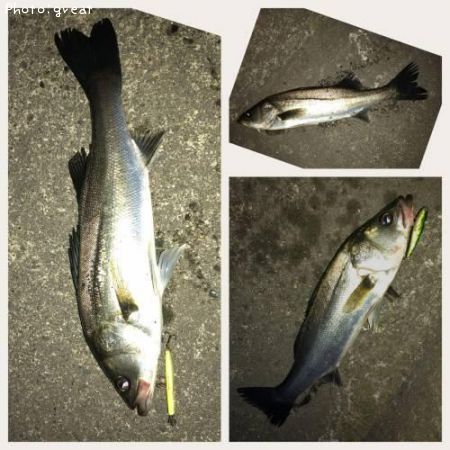 �����Х�