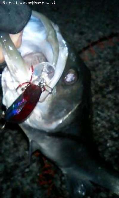 �����Х�