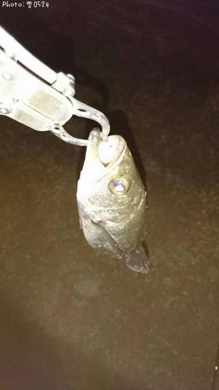 �����Х�