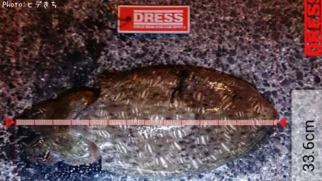 ��󥴥�����