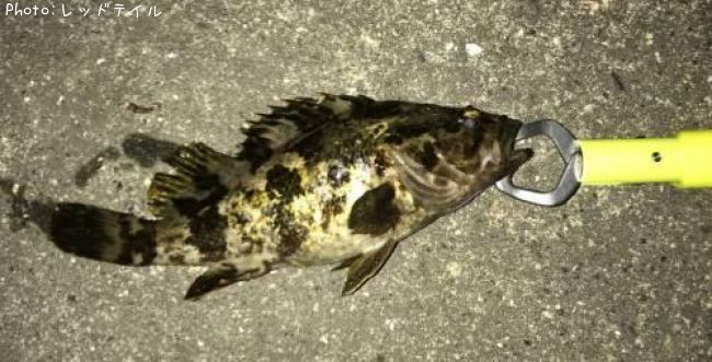 �����Υ���Х�