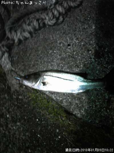 �����Х�