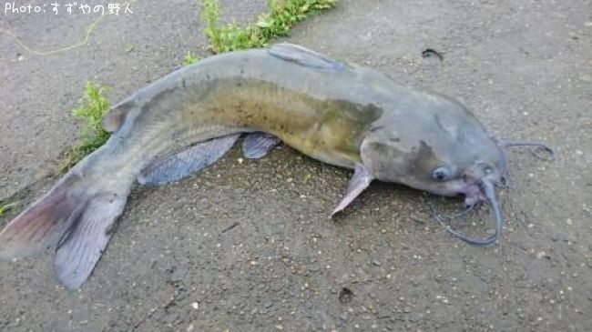 ����åȥե��å���