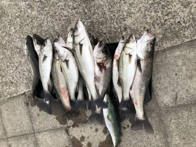 �����Х�