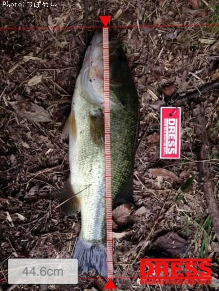 �֥�å��Х�