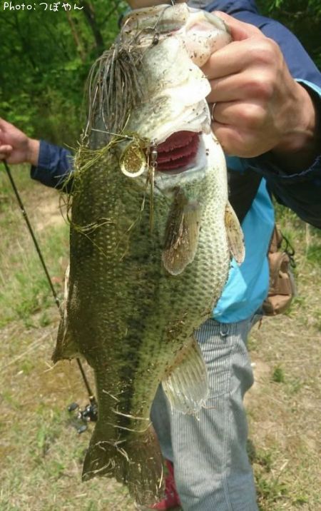 �֥�å��Х�