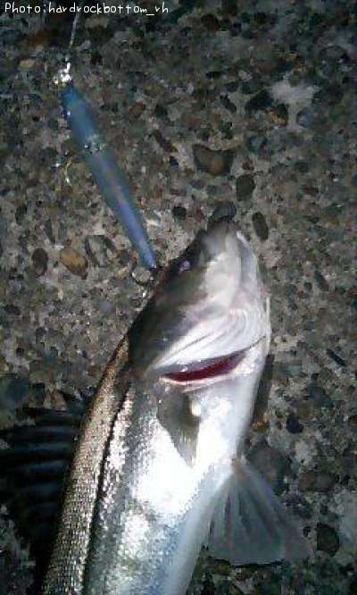 �����Х�