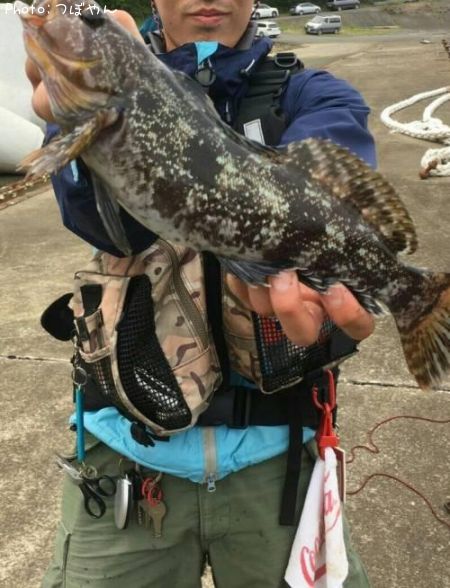 �����ʥ�