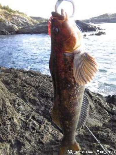 �����ʥ�