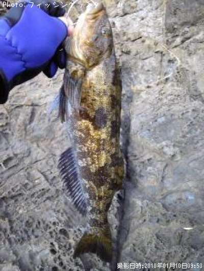 �����ʥ�