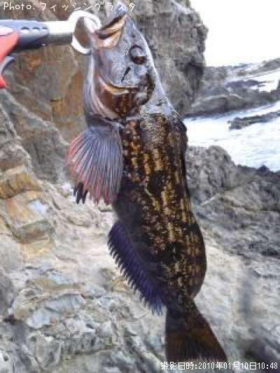 �����ʥ�