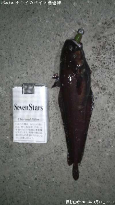 �������������ʥ�