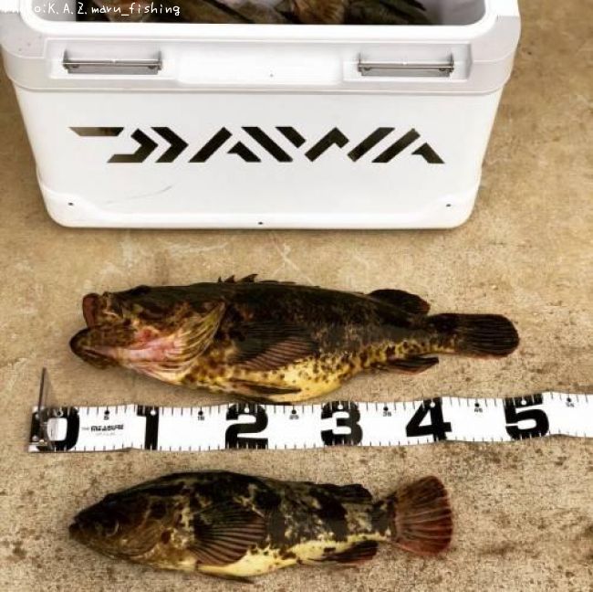 �����Υ���Х�ʥ٥å�������