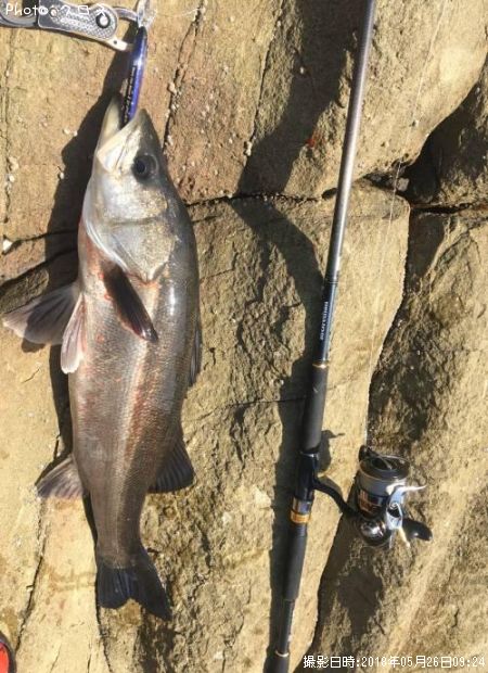 �����Х�