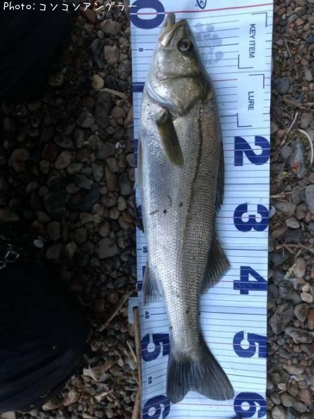 �����Х�