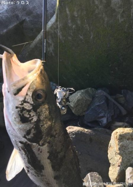 �����Х�