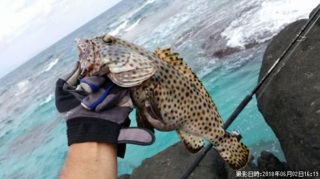 �������ϥ�