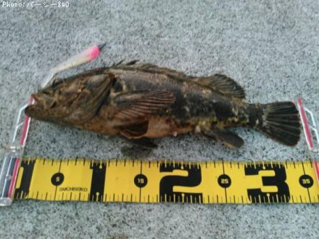 �����Υ���Х�