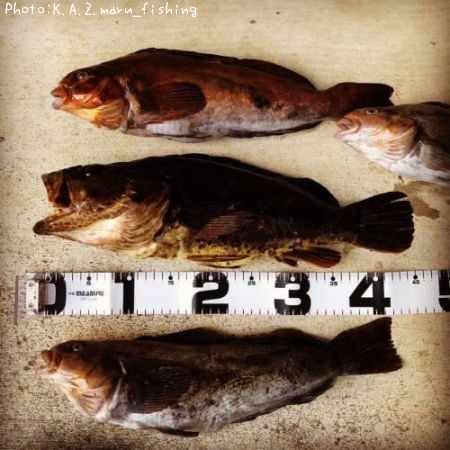 �٥å�������