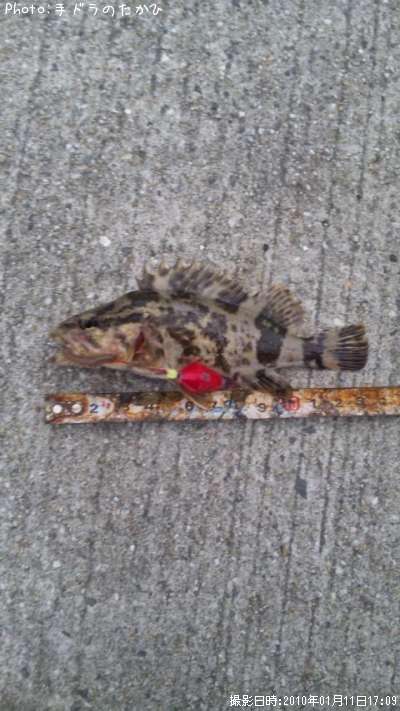 �����Υ���Х�